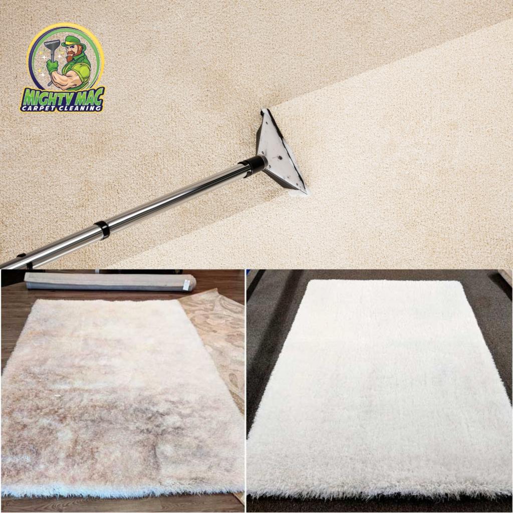 Why You Need Professional Carpet Cleaning